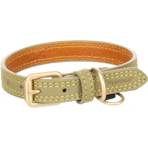Flamingo Collier Chien Virginia Cuir Véritable Vert