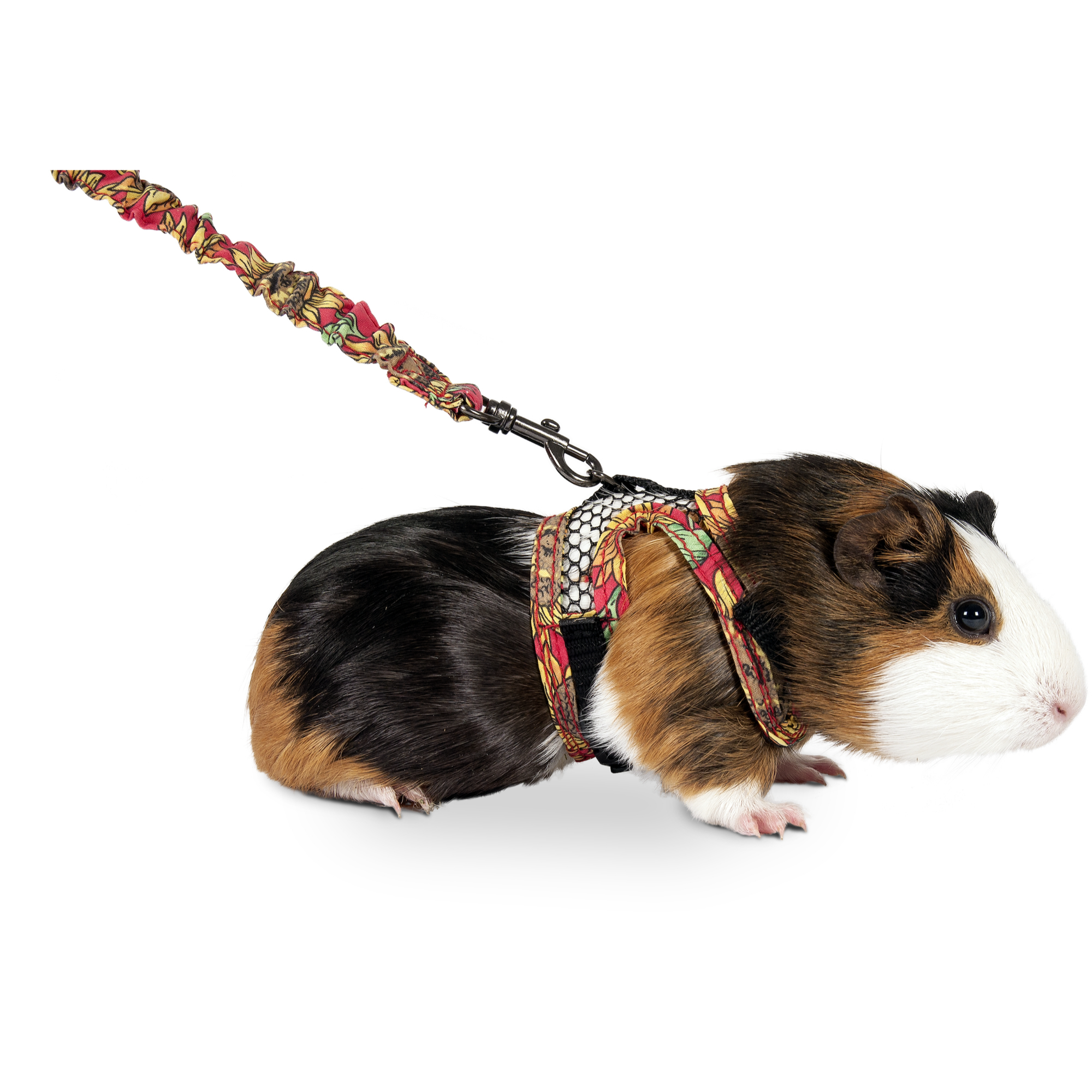 Flamingo Harnais & Laisse Art Joy pour Cobaye et Furet