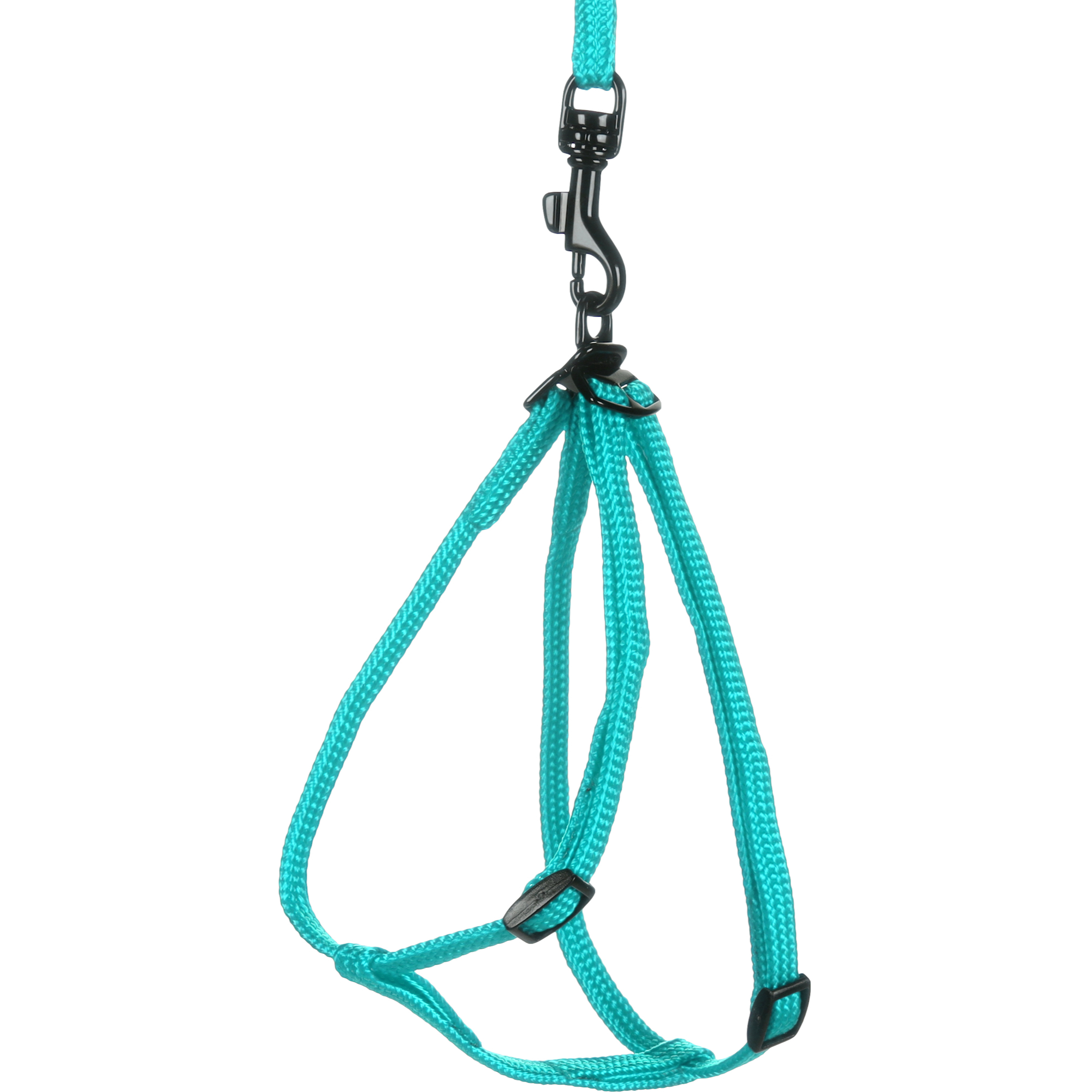 Flamingo Y-Harnais & Laisse pour Furet couleur aléatoire – Image 5