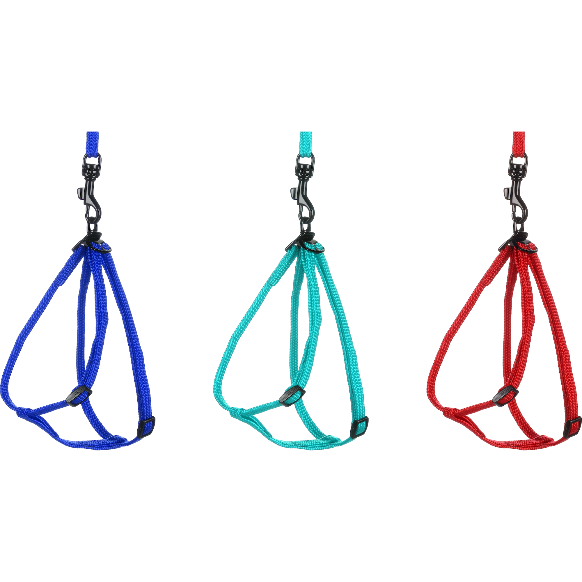 Flamingo Y-Harnais & Laisse pour Furet couleur aléatoire – Image 7