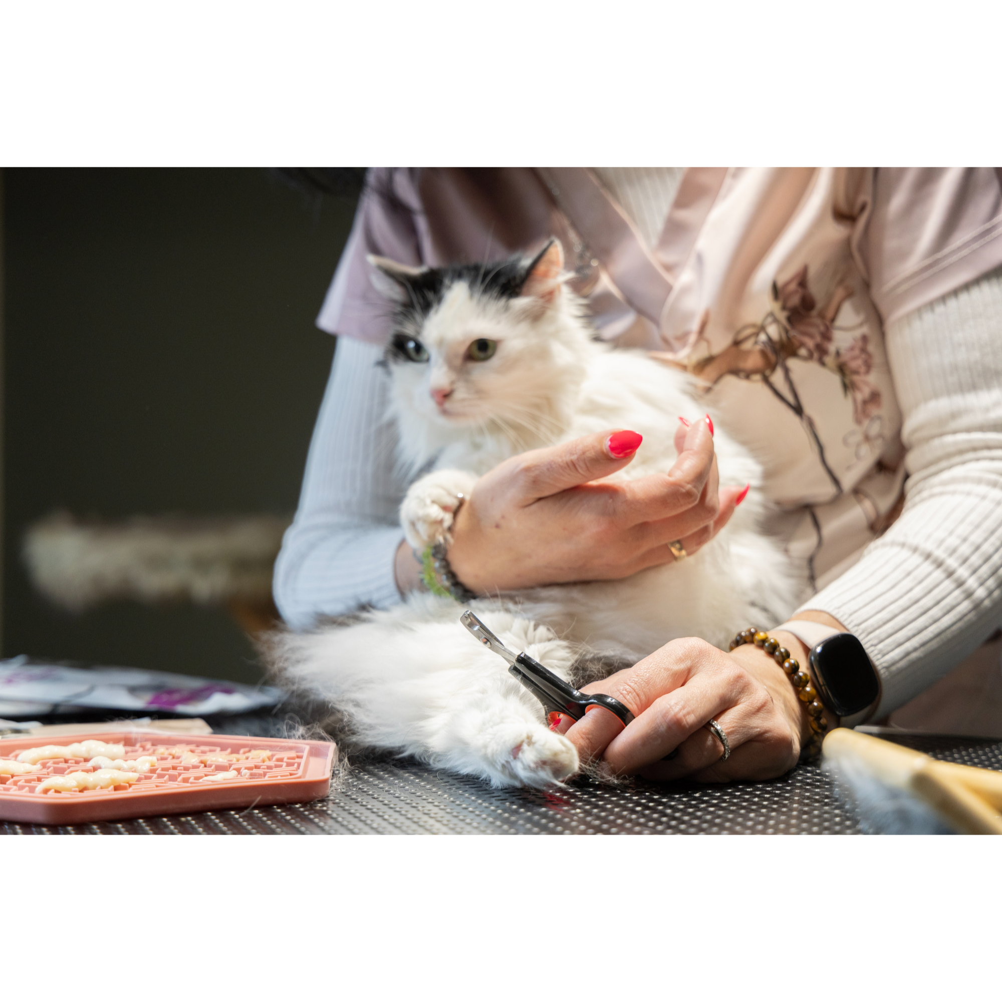 Flamingo Coupe Griffes Franco pour Chat – Image 3