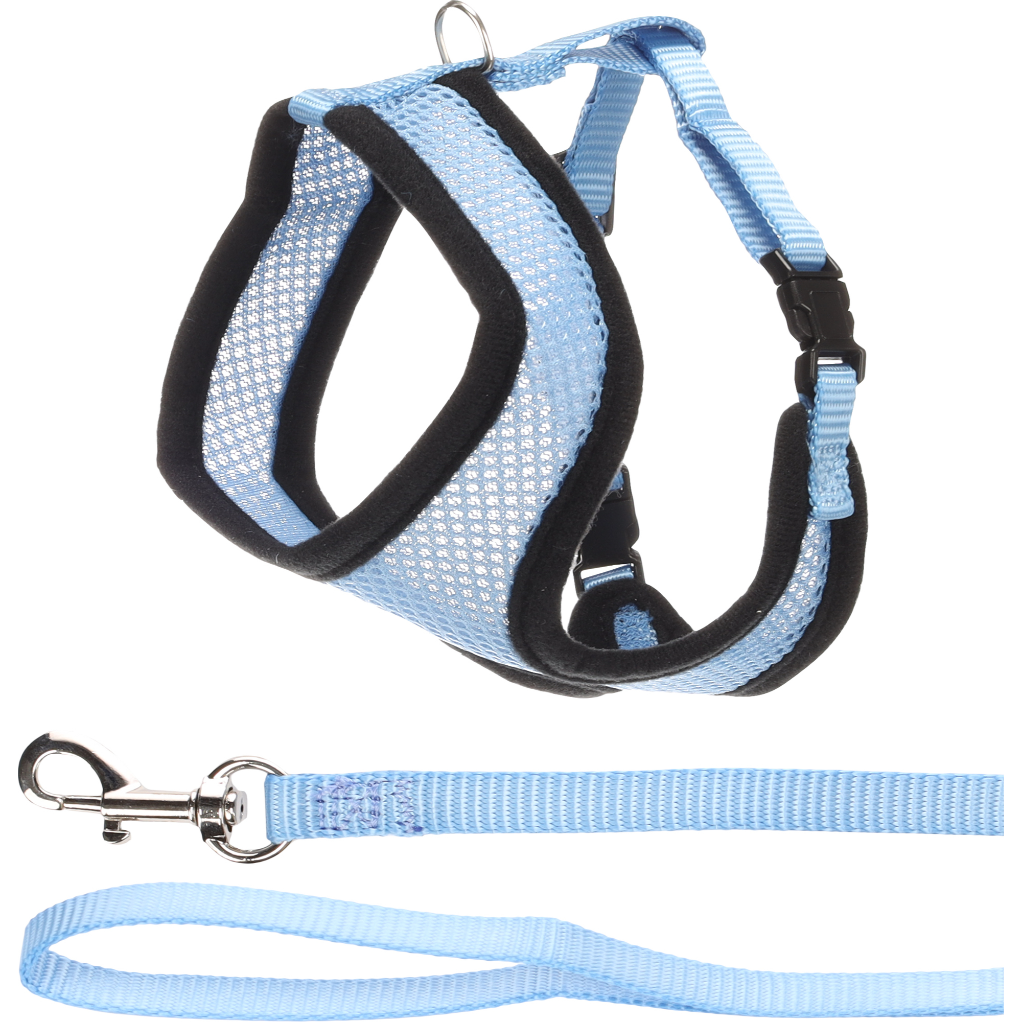 Flamingo Harnais Chaton avec laisse Harms Bleu