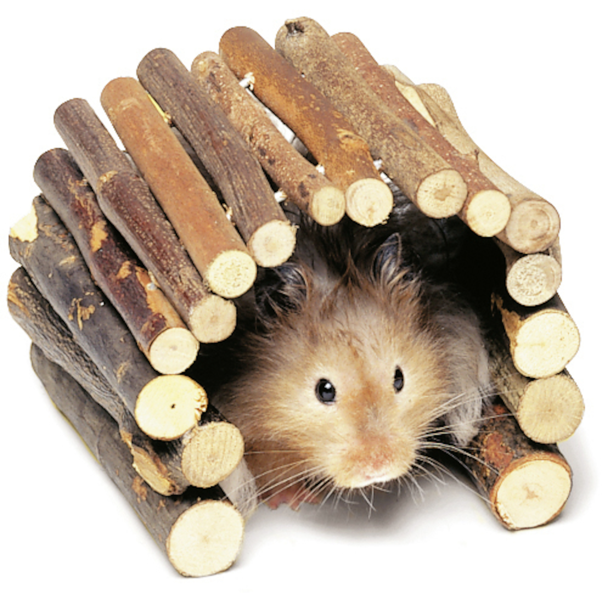 Flamingo Pont en Bois pour rongeurs M – Image 3