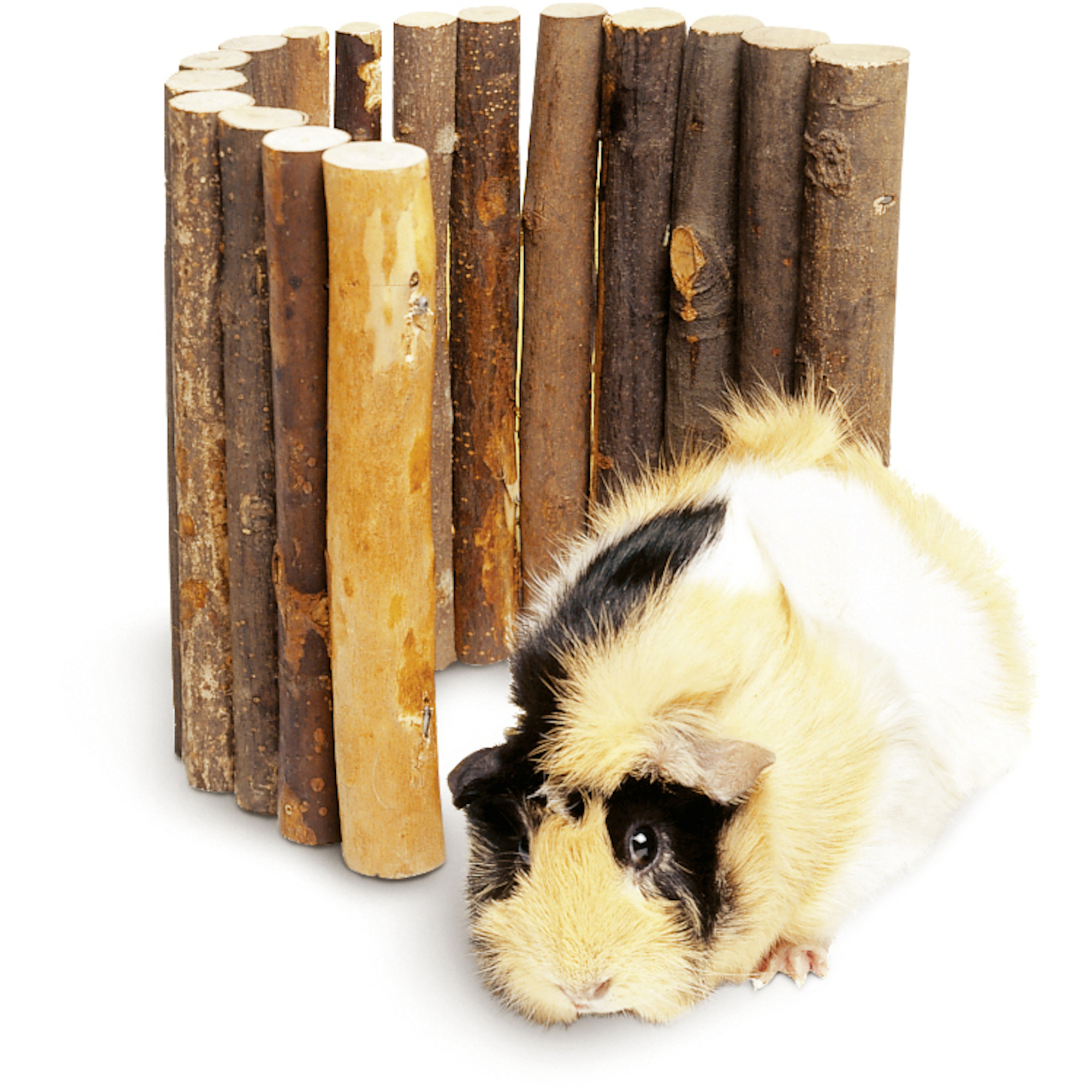 Flamingo Pont en Bois pour rongeurs M