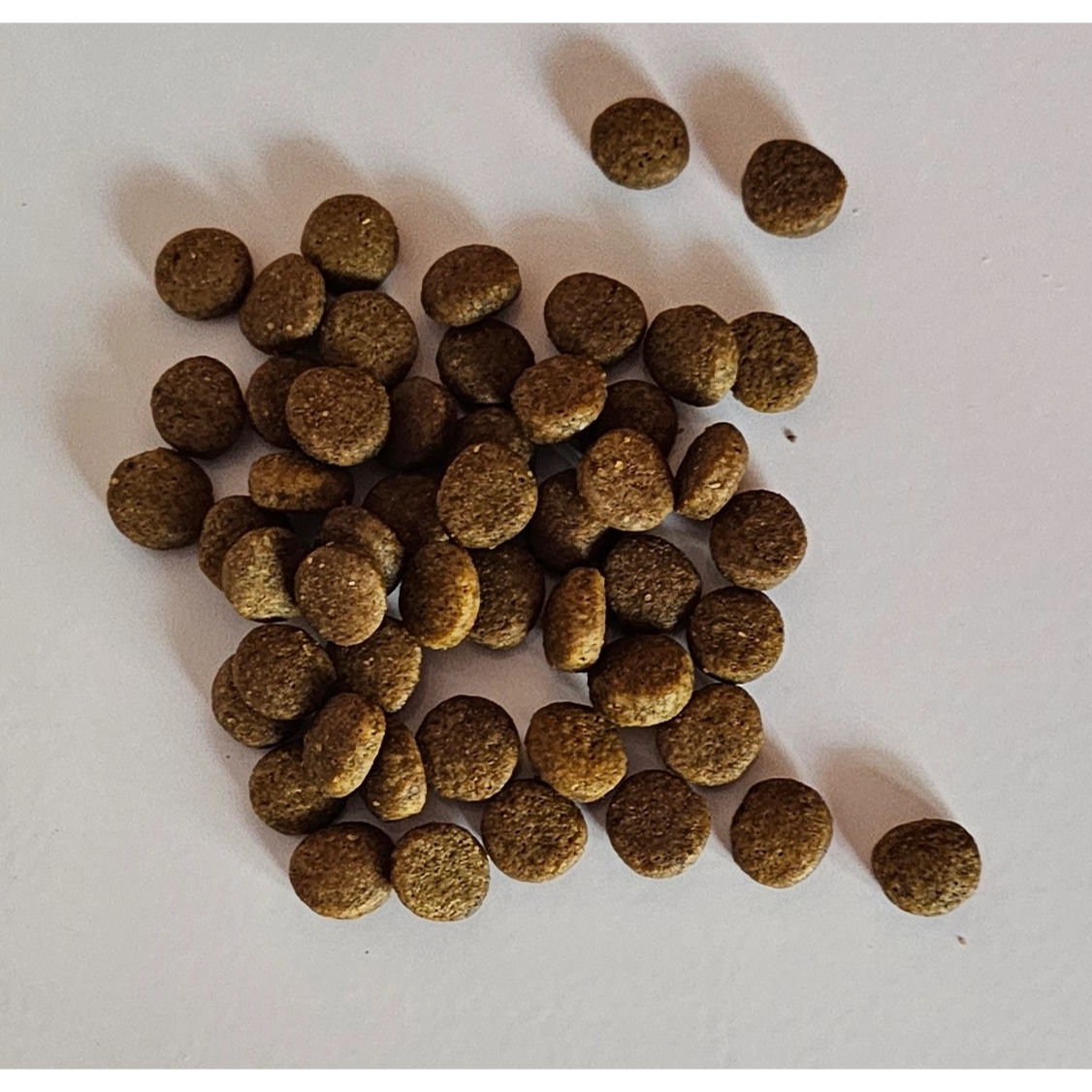 Spirit of Wild Friandises Chat au Poisson blanc & Caviar de Hareng – Image 2