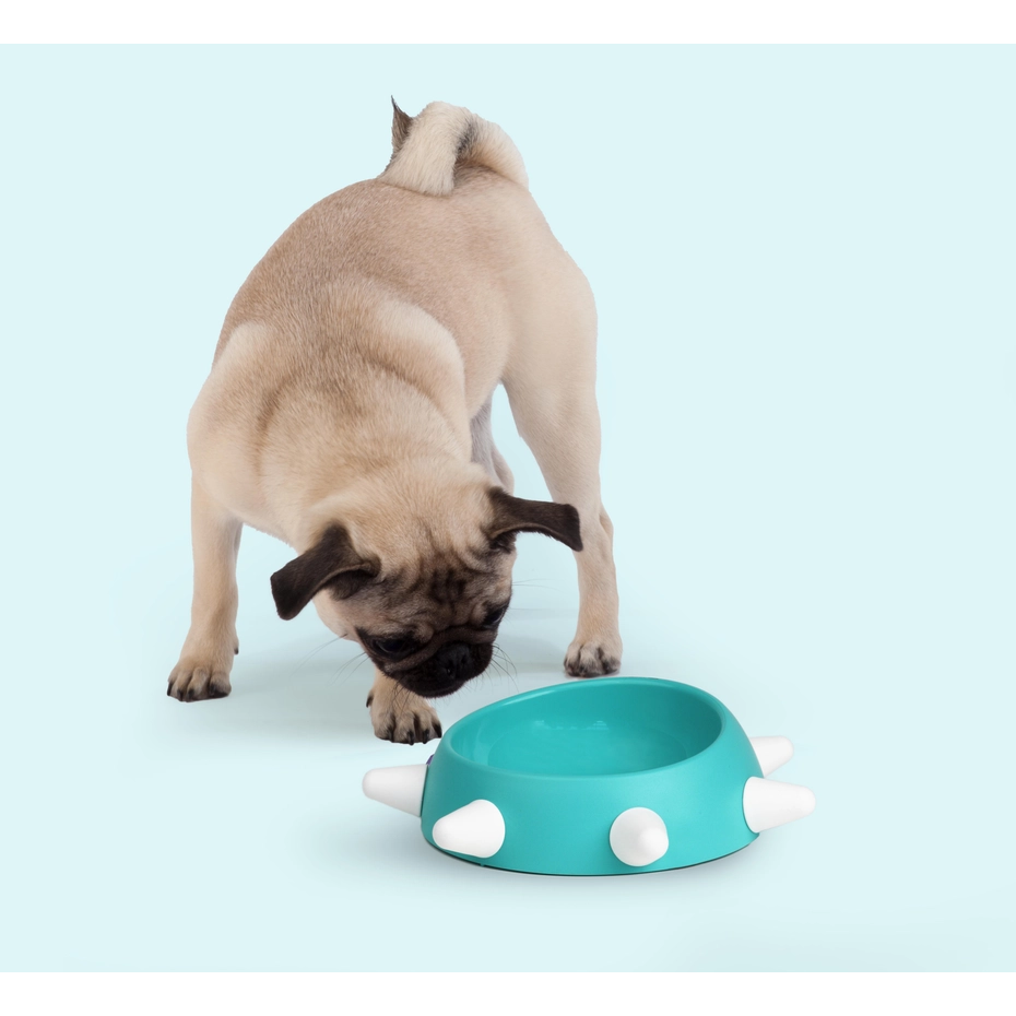 United Pets Gamelle Boss Aigue-Marine pour Chien – Image 2