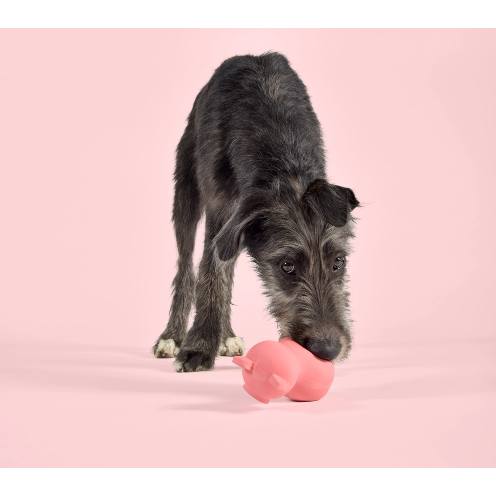 United Pets Jouet Pigs Pinky Rose pour Chien – Image 2