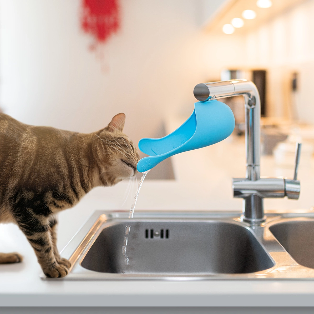 United Pets Gurgle Adaptateur de Robinet en Silicone pour Chats – Image 5