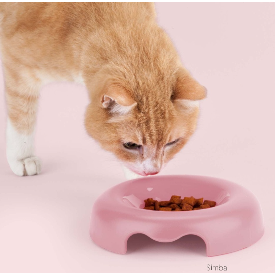 United Pets Gamelle Kitty Rose pour Chats – Image 2