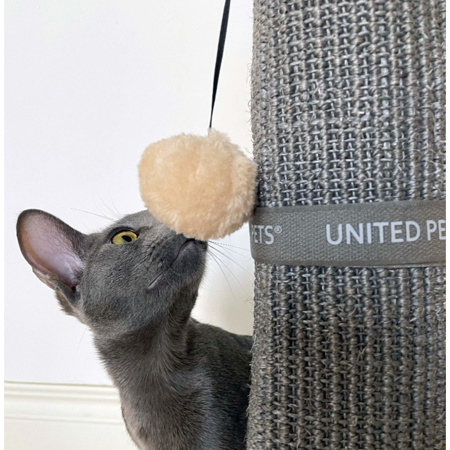 United Pets Cat Scratcher Griffoir de table pour Chats – Image 4