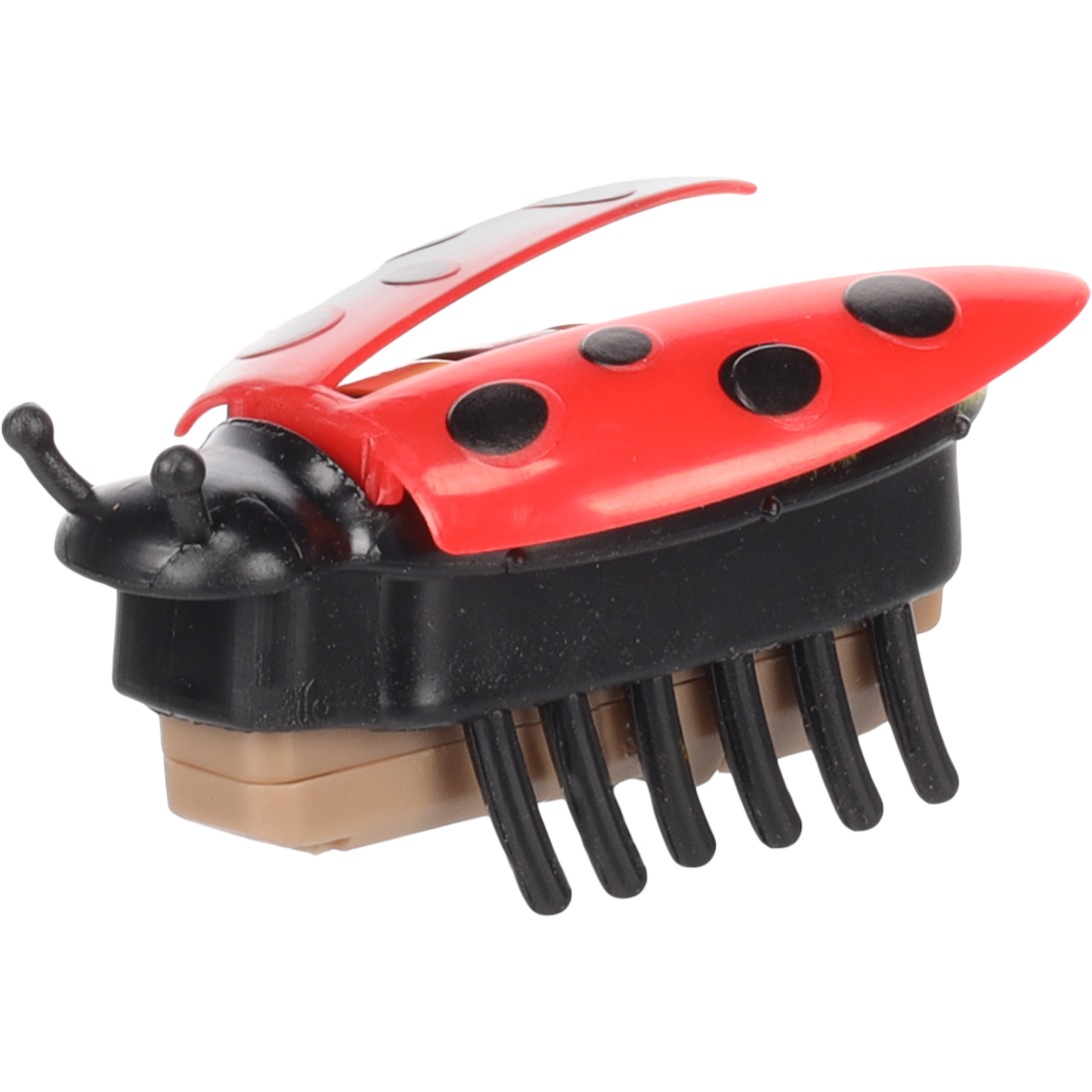 Flamingo Jouet Chat Spredda Coccinelle Rouge