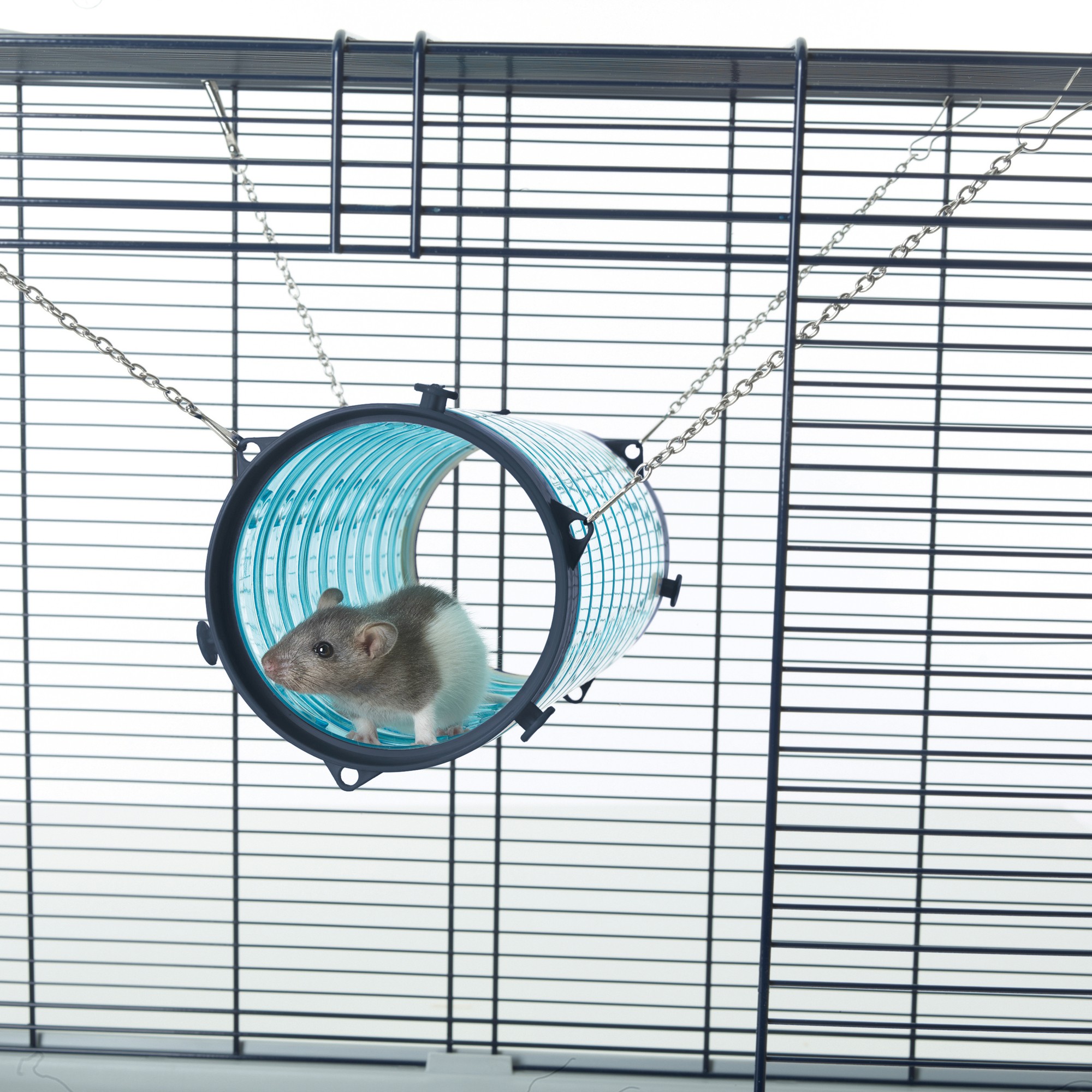 Savic Tunnel pour Rats et Furets