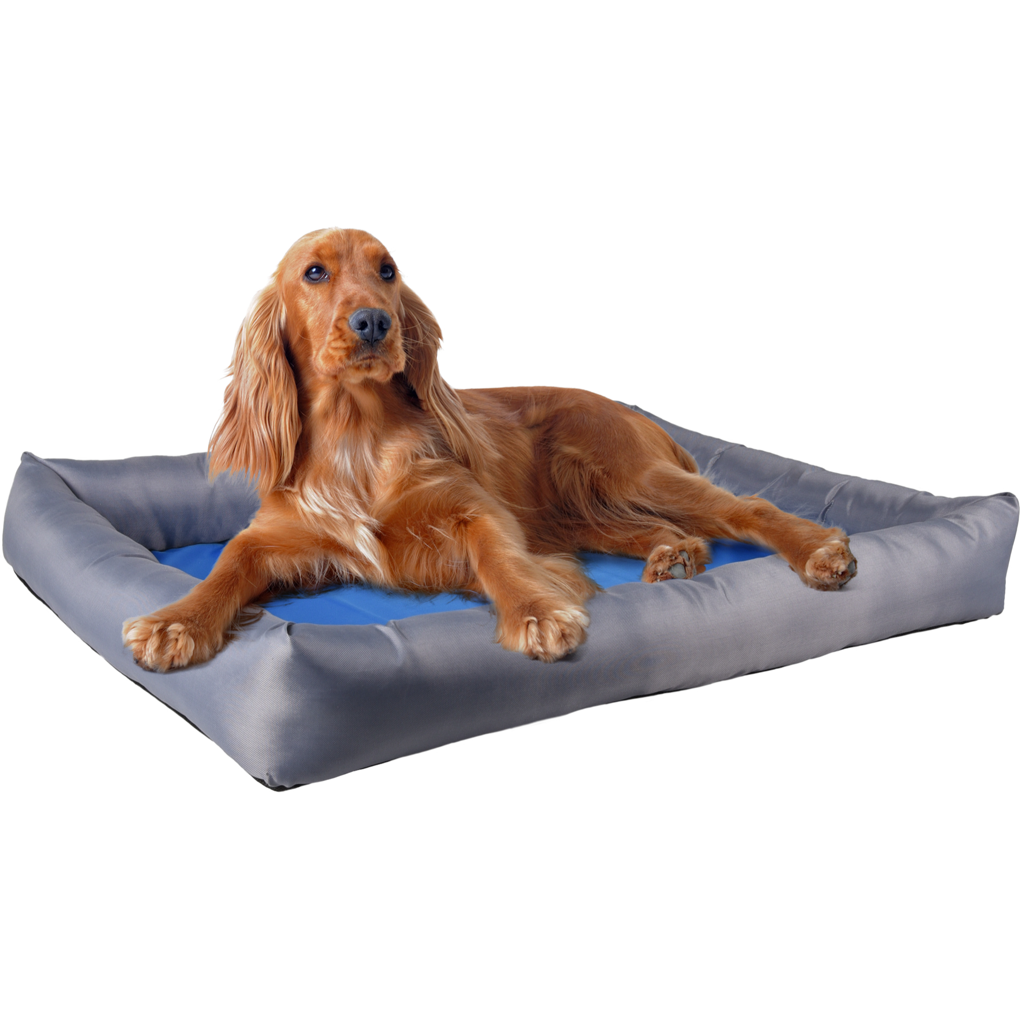 Panier Rafraîchissant Gris & Bleu L – Image 2