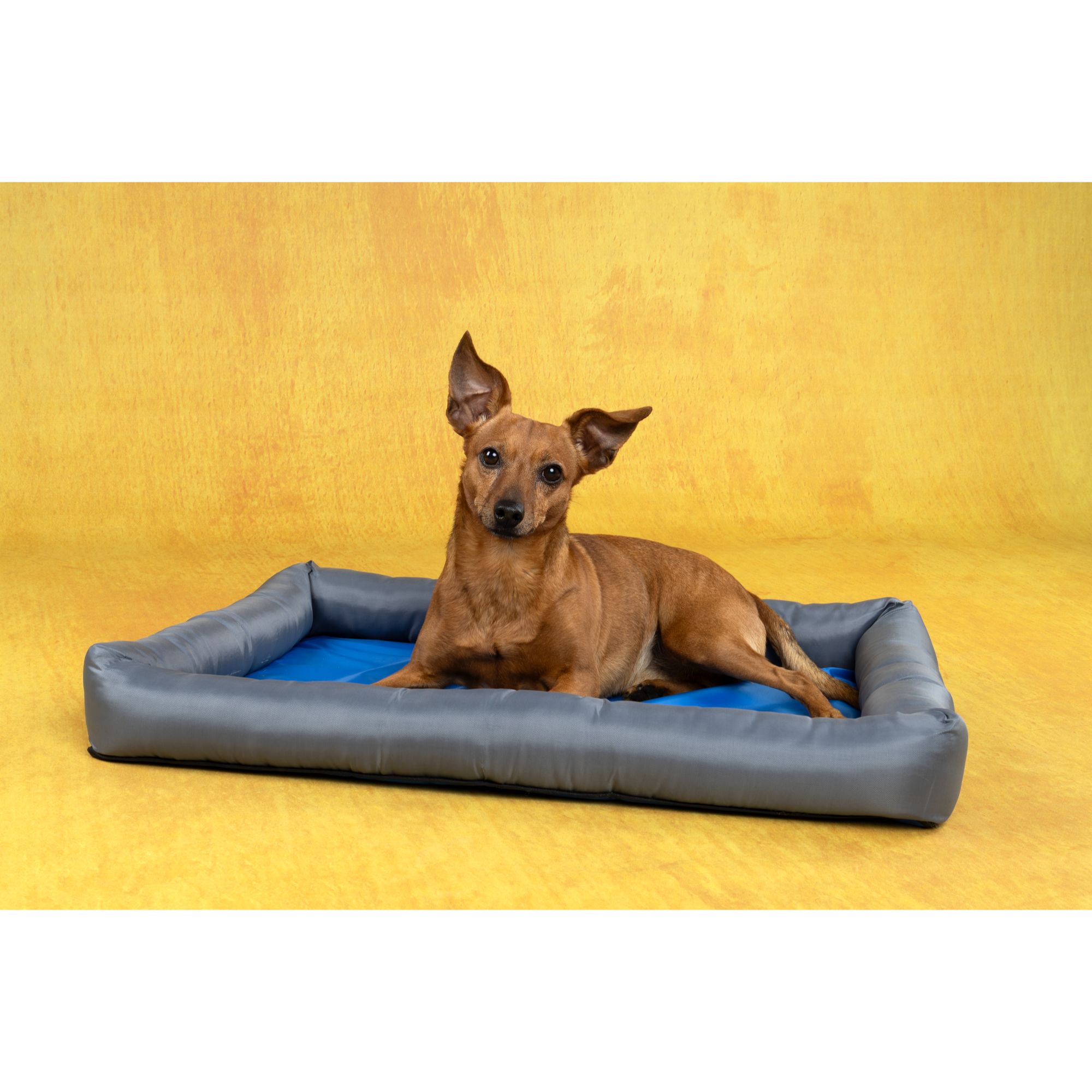 Panier Rafraîchissant Gris & Bleu L – Image 4