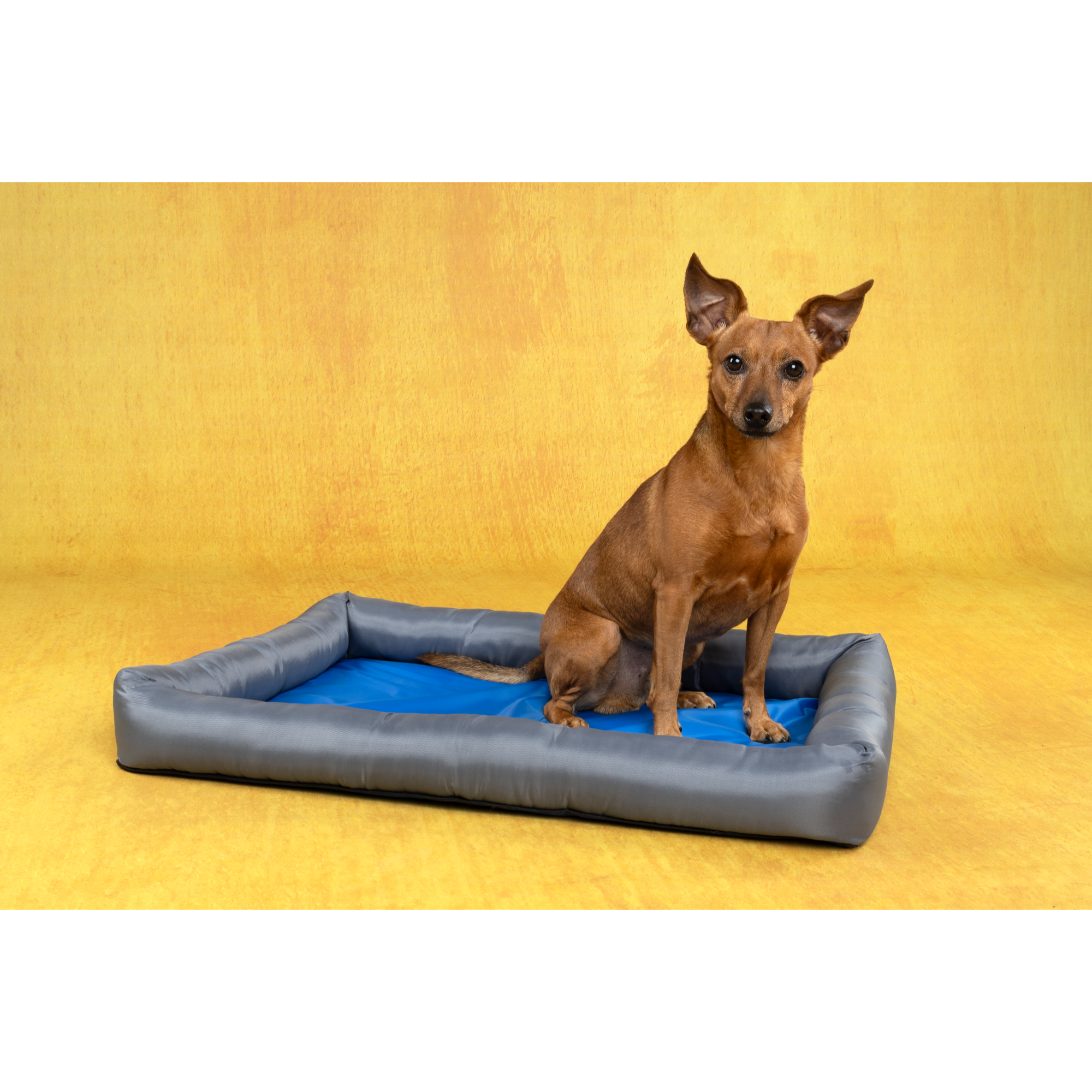 Panier Rafraîchissant Gris & Bleu L – Image 3