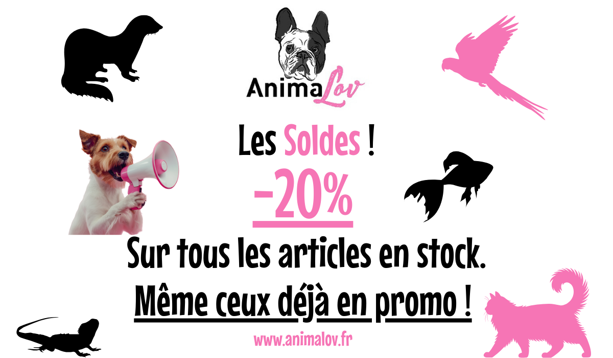 Soldes Hiver 2026